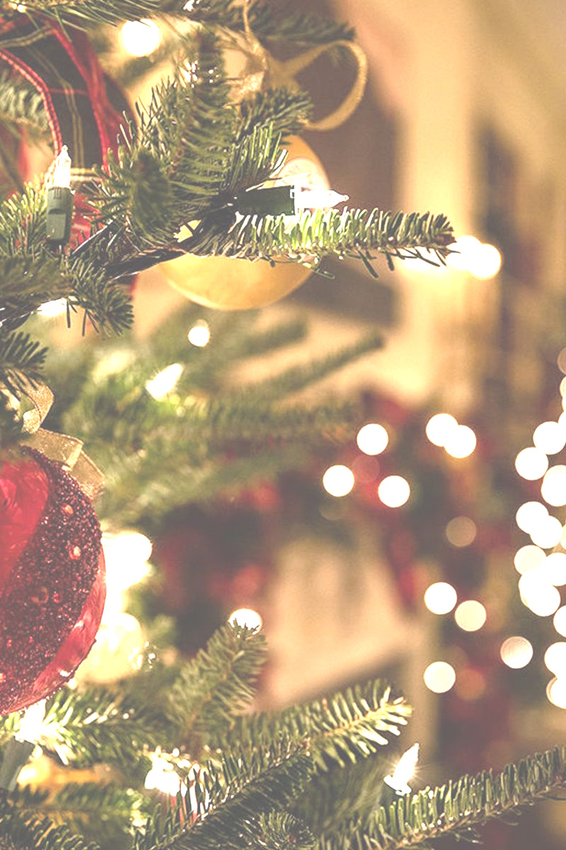 Christmas at Dada